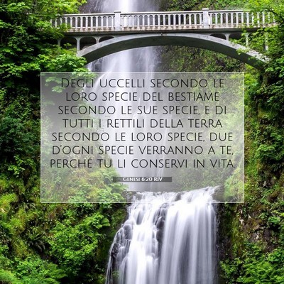 Genesi 6:20 Versetto della Bibbia Spiegato