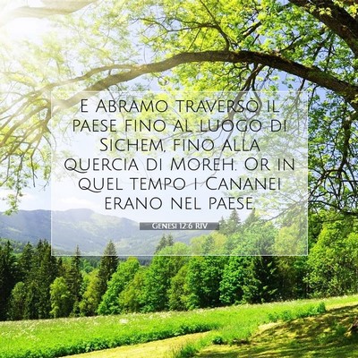 Genesi 12:6 RIV Immagine del Versetto della Bibbia