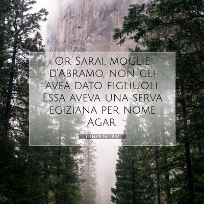 Genesi 16:1 RIV Immagine del Versetto della Bibbia