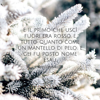 Genesi 25:25 Versetto della Bibbia Spiegato
