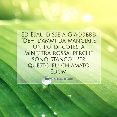 Genesi 25:30 Versetto della Bibbia Spiegato