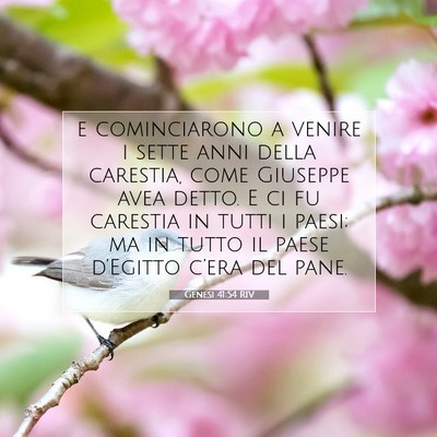 Genesi 41:54 RIV Immagine del Versetto della Bibbia