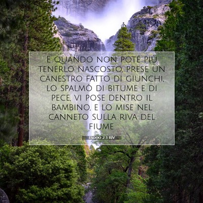 Esodo 2:3 Versetto della Bibbia Spiegato