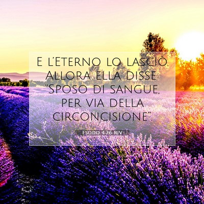 Esodo 4:26 Versetto della Bibbia Spiegato