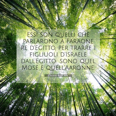Esodo 6:27 RIV Immagine del Versetto della Bibbia