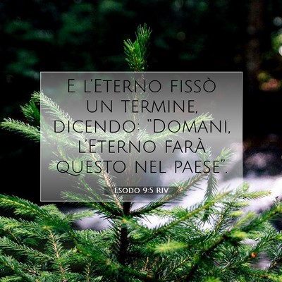 Esodo 9:5 Versetto della Bibbia Spiegato