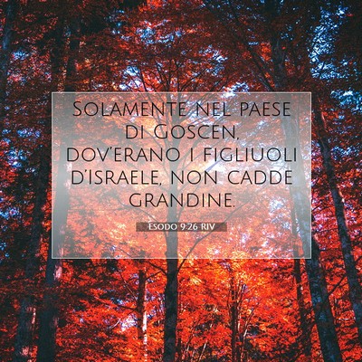 Esodo 9:26 Versetto della Bibbia Spiegato