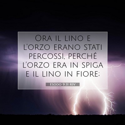 Esodo 9:31 Versetto della Bibbia Spiegato