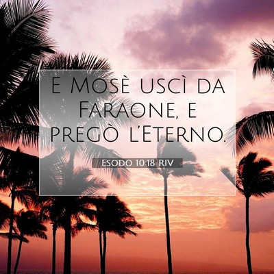 Esodo 10:18 Versetto della Bibbia Spiegato