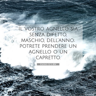 Esodo 12:5 RIV Immagine del Versetto della Bibbia