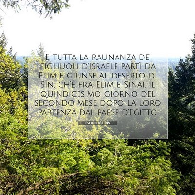 Esodo 16:1 Versetto della Bibbia Spiegato