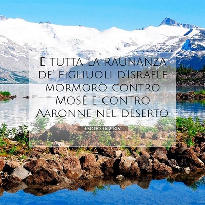 Esodo 16:2 RIV Immagine del Versetto della Bibbia