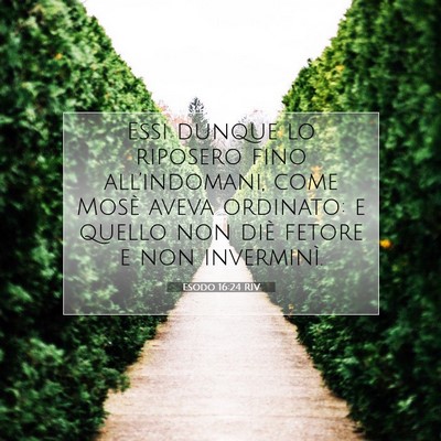 Esodo 16:24 Versetto della Bibbia Spiegato