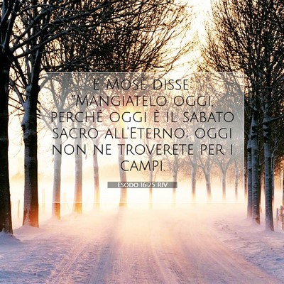 Esodo 16:25 Versetto della Bibbia Spiegato