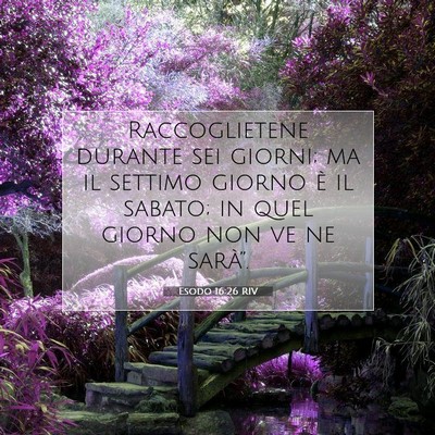 Esodo 16:26 Versetto della Bibbia Spiegato