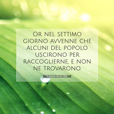 Esodo 16:27 Versetto della Bibbia Spiegato