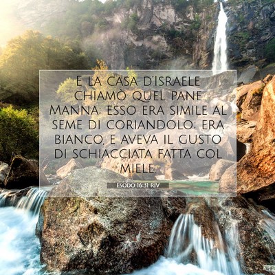 Esodo 16:31 Versetto della Bibbia Spiegato