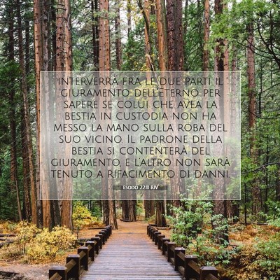 Esodo 22:11 Versetto della Bibbia Spiegato