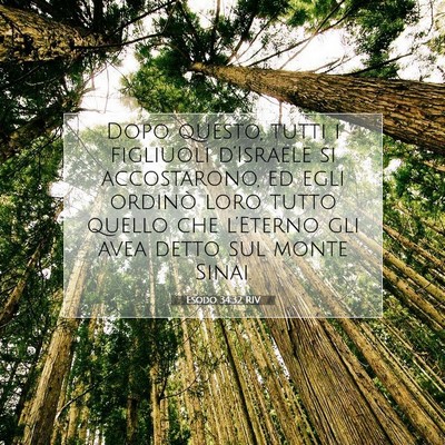 Esodo 34:32 Versetto della Bibbia Spiegato
