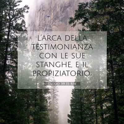 Esodo 39:35 Versetto della Bibbia Spiegato