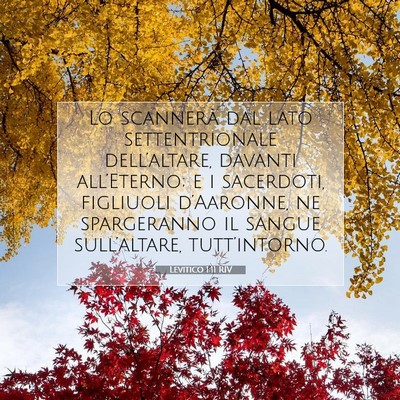 Levitico 1:11 Versetto della Bibbia Spiegato