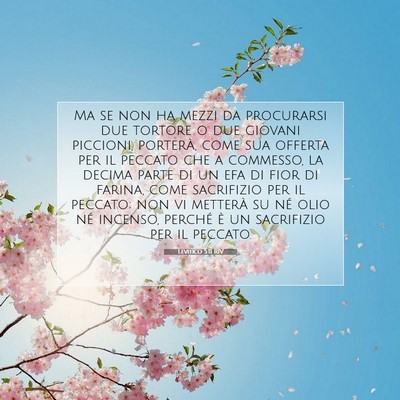 Levitico 5:11 Versetto della Bibbia Spiegato