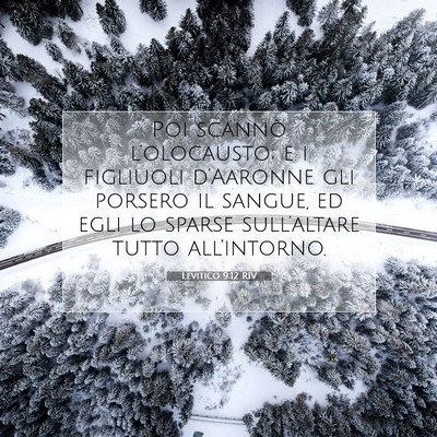 Levitico 9:12 RIV Immagine del Versetto della Bibbia