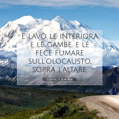 Levitico 9:14 RIV Immagine del Versetto della Bibbia