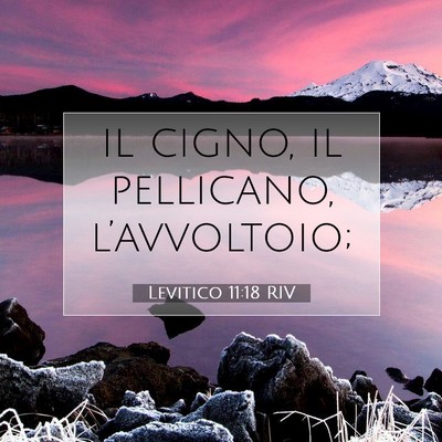 Levitico 11:18 Versetto della Bibbia Spiegato