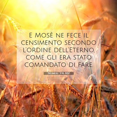 Numeri 3:16 Versetto della Bibbia Spiegato