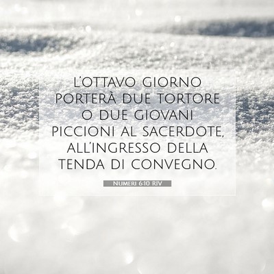 Numeri 6:10 RIV Immagine del Versetto della Bibbia