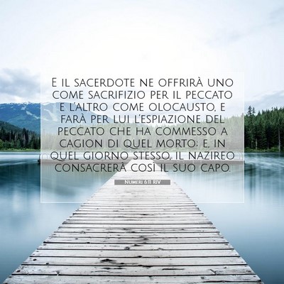 Numeri 6:11 RIV Immagine del Versetto della Bibbia