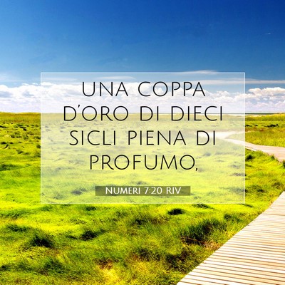 Numeri 7:20 Versetto della Bibbia Spiegato