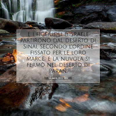 Numeri 10:12 RIV Immagine del Versetto della Bibbia