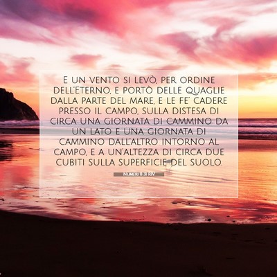 Numeri 11:31 Versetto della Bibbia Spiegato