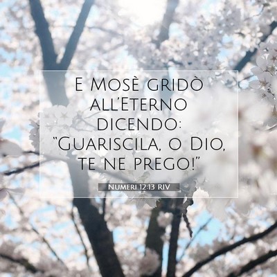 Numeri 12:13 RIV Immagine del Versetto della Bibbia
