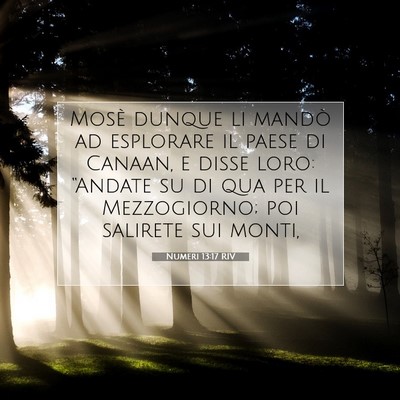 Numeri 13:17 RIV Immagine del Versetto della Bibbia