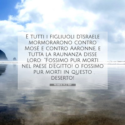 Numeri 14:2 RIV Immagine del Versetto della Bibbia