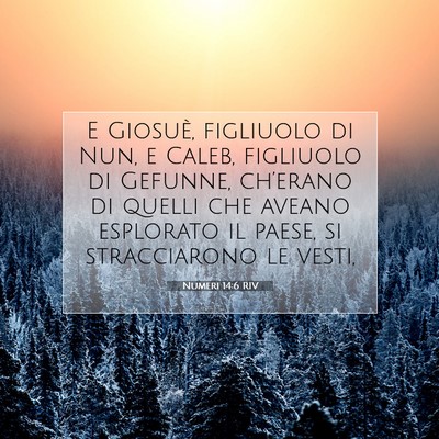 Numeri 14:6 RIV Immagine del Versetto della Bibbia