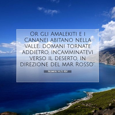 Numeri 14:25 RIV Immagine del Versetto della Bibbia