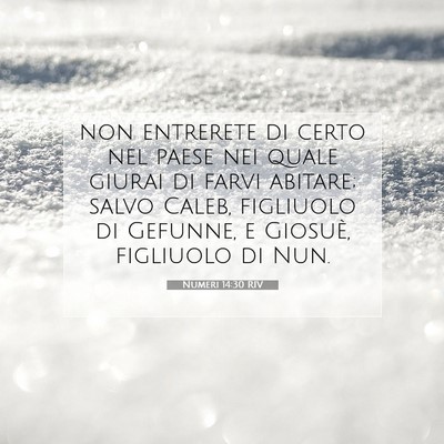 Numeri 14:30 RIV Immagine del Versetto della Bibbia