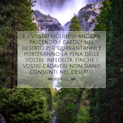 Numeri 14:33 RIV Immagine del Versetto della Bibbia