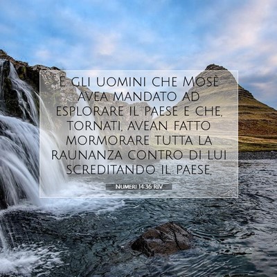 Numeri 14:36 RIV Immagine del Versetto della Bibbia