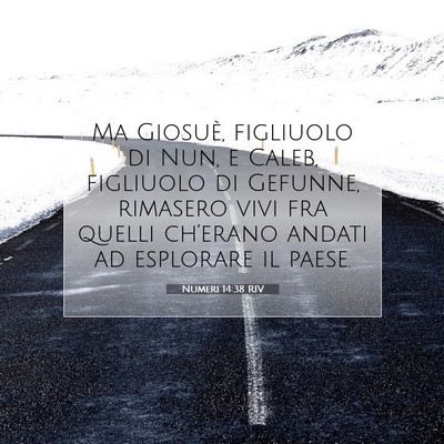 Numeri 14:38 RIV Immagine del Versetto della Bibbia