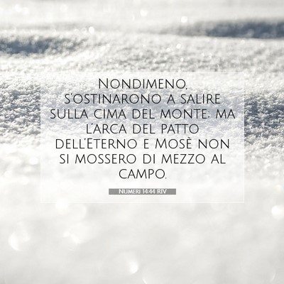 Numeri 14:44 RIV Immagine del Versetto della Bibbia