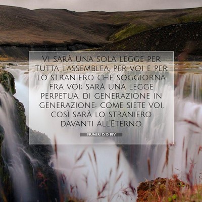 Numeri 15:15 RIV Immagine del Versetto della Bibbia