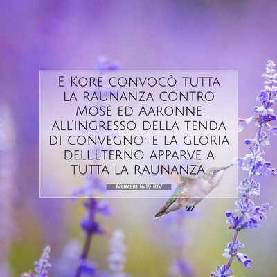 Numeri 16:19 RIV Immagine del Versetto della Bibbia