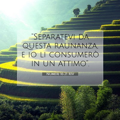 Numeri 16:21 RIV Immagine del Versetto della Bibbia