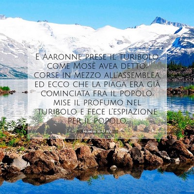 Numeri 16:47 RIV Immagine del Versetto della Bibbia