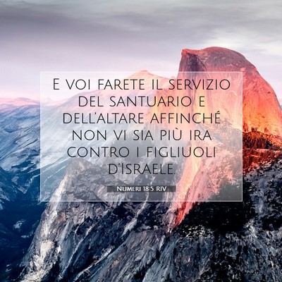Numeri 18:5 RIV Immagine del Versetto della Bibbia
